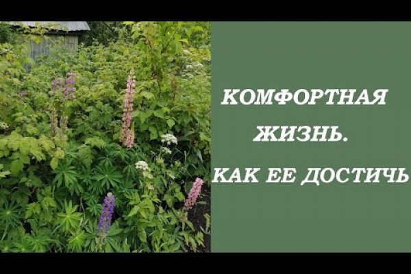 Не могу зайти на сайт кракен